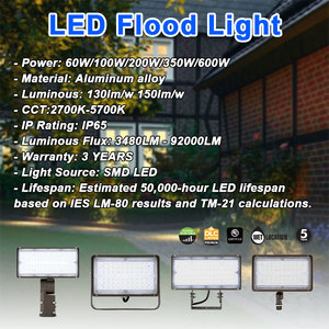 Stade Led Étanche Ip65 Extérieur Aluminium 60w 80w 100w 200w 350w 600w Cricket Soccer Field Led High Mast flood Light - Product Image 2