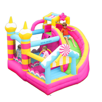 Château gonflable pour enfants de style nouveau, rose, de la marque Doctor Dolphin, pour fête, pas cher, avec personnage, grand château gonflable à vendre