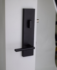 미국 표준형 현관문 잠금 세트, 고강도 아연 합금 손잡이 및 데드볼트 세트 (외부 도어용) - Product Image 4