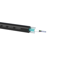Cable de Fibra Óptica Blindado GYXTW para Exteriores de 6.0mm de Diámetro, 500/1000/1500m, 4, 6, 8, 12 Hilos, Monomodo, Rollo Completo