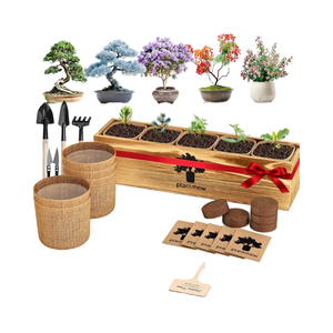 Kit complet de culture de bonsaï japonais, 5 pièces, coffret <span class=keywords><strong>cadeau</strong></span> de <span class=keywords><strong>jardinage</strong></span> unique, outils, jardinières <span class=keywords><strong>pour</strong></span> hommes et femmes, <span class=keywords><strong>pour</strong></span> Noël, anniversaire - Product Image 1