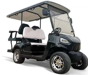中国供应商批发高品质高尔夫球车2 + 2座电动狩猎俱乐部汽车高尔夫球车BUGGYPRO TBM H2 + 2