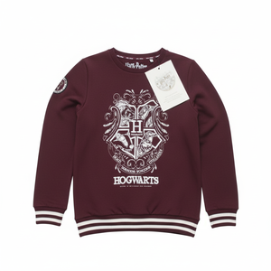 Camiseta informal de punto de manga larga para niños, sudadera de algodón 100% con estampado de transferencia, precio de fábrica, venta al por mayor, sudadera de niño de la India - Product Image 1