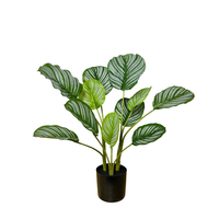 Plantes artificielles en plastique de la marque TREESMAS, feuilles de Calathea, couleur verte et blanche, pour usage intérieur/extérieur, XPZ007