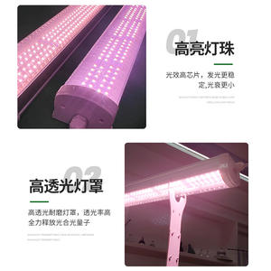 <span class=keywords><strong>Lampe</strong></span> <span class=keywords><strong>de</strong></span> <span class=keywords><strong>culture</strong></span> LED T5 à spectre complet, étanche IP65, quatre rangées, <span class=keywords><strong>pour</strong></span> plantes succulentes, coloration UV, supplémentaire <span class=keywords><strong>pour</strong></span> <span class=keywords><strong>semis</strong></span> <span class=keywords><strong>de</strong></span> fleurs - Product Image 4