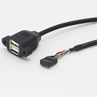 Dupont kabel ekstensi dudukan Panel Perempuan, 2.54mm 9Pin ke USB Motherboard port USB Extender kabel Data komputer