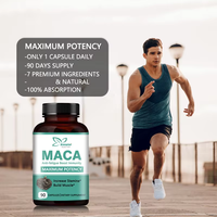 Capsules OEM de complément à base de plantes Maca avec extrait de ginseng Aide à construire la masse musculaire Améliorer le système immunitaire Capsules