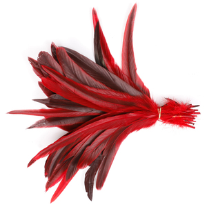 Plumas <span class=keywords><strong>de</strong></span> Gallo Teñidas Suaves <span class=keywords><strong>de</strong></span> 30-35 cm para Disfraces <span class=keywords><strong>de</strong></span> <span class=keywords><strong>Carnaval</strong></span>, Accesorios para Hacer Alas, Desfiles <span class=keywords><strong>de</strong></span> Moda y Fiestas - Product Image 4