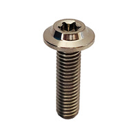 Vis en titane GR5 M5*18mm, prix usine, vis à tête parapluie, vis à tête Torx interne, vis de frein de haute qualité