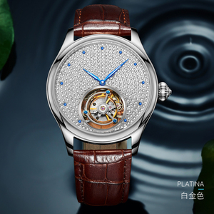 Reloj AESOP con movimiento Tourbillon real para hombre, de acero inoxidable, con esfera estrellada de doble cara, moderno, brillante e impermeable. - Product Image 4