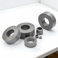 Núcleo Toroidal Resistente a la Corrosión, Acero al Silicio Especial para Equipos de Ingeniería Marina y Energía en Exteriores