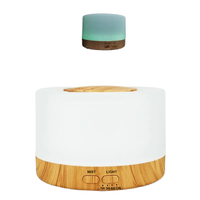 Diffuseur d'huiles essentielles H2O Travel Rain Cloud, humidificateur, approuvé CE Rohs, pour usage domestique et extérieur, pour hôtels et voitures