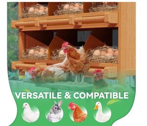 กล่องทำรังไก่6ช่องกล่องไม้สำหรับใส่ไข่เป็ดไก่ - Product Image 5
