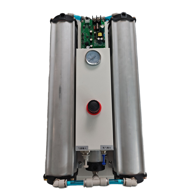 High Flow Oxygen Production System Ozone Production 10L/min Industrial Oxygen Generator