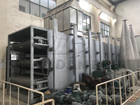 Four de séchage industriel continu à tunnel, sécheur à bande automatique PLC, machine de séchage de briquettes de charbon de bois/bois