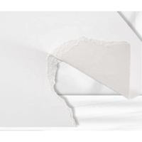 Carton pliant en papier couché ivoire 190-450g du fabricant, impression chimique simple face pour emballage en vrac normal, idéal pour les cadeaux