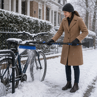 Brosse à neige pour voiture avec tête en poils, manche en fer extensible, grattoir à glace, raclette en mousse, outil de nettoyage de pare-brise d'hiver