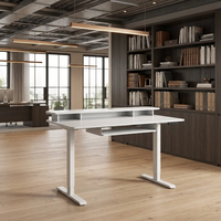 Bureau debout électrique ergonomique personnalisé à double plateau en fer, à moteur unique, à 2 niveaux, avec hauteur réglable