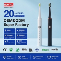 Brosse à dents électrique automatique rechargeable de haute qualité pour le nettoyage dentaire, brosse à dents ultrasonique blanchissante personnalisée en gros