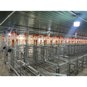 Farrowing <b>Crates</b> for Pigs Good Quality 2400X1800Mm Animal Husbandry Style Customization From Vietnam Manufacturer - Product Image 5