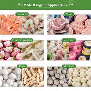 Congelador Industrial Pequeño de Acero Inoxidable Italiano Económico de 10x10 y Equipo de Congelación Rápida para Mariscos Iqf - Product Image 6