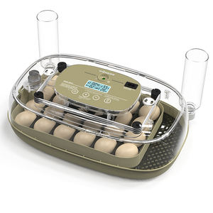 <span class=keywords><strong>HHD</strong></span> 2025 Nouvel incubateur pour l'éclosion <span class=keywords><strong>Mini</strong></span> incubateur d'oeufs de poule facile à utiliser - Product Image 3