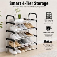 Étagère à chaussures moderne à 4 niveaux en métal pour entrée, capacité de 12 paires, meuble de rangement multi-niveaux