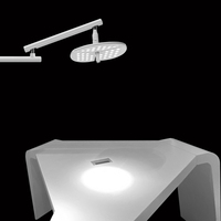 400 LED CE Marqué Vétérinaire Lumière Chirurgicale Murale Médicale OT Lampe D'opération pour Procédure Orale Source D'énergie Électricité