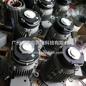   Freno electromagnético LGA Holding Brake 2LM8060 6NA10 6NA60 6NA80 para piezas de motor de maquinaria - Product Image 3