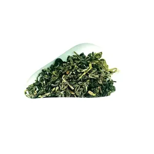 Recomendar chá verde de verão chinês com folhas de chá verde orgânicas e finas de alta qualidade