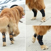 Genouillère pour chien de compagnie à haute élasticité avec orthèses respirantes confortables protection de la jambe arrière soutien de la cheville sécurité physique