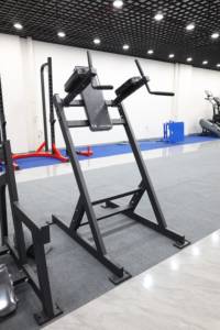 Équipement de musculation professionnel : Machine à soulever les jambes verticalement, machine à soulever les genoux verticalement, machine à dips et abdominaux - Product Image 2