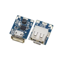 Module d'alimentation élévateur 134N3P 5V avec interface Micro TYPE-C, carte de protection de charge pour batterie au lithium, convertisseur boost 134N3P