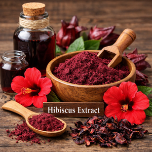 食品グレード供給 無料サンプル 100%天然ハイビスカス花エキス粉末 ロゼルエキス - Product Image 3