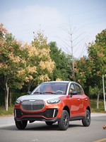 Voiture électrique à 4 roues certifiée EEC L6e, mini-voiture électrique légale 45 km/h pour adultes
