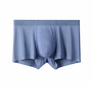 Vente en gros Sous-vêtements masculins en jersey modal Pantalons à haute élasticité Sous-vêtements masculins durables Boxers Briefs - Product Image 1