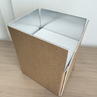 Ensemble de glacières EPS 8,4 L avec plusieurs plaques de glace pour une rétention du froid longue durée, idéal pour le transport de produits médicaux frais, compatible avec les cartons isolés PS