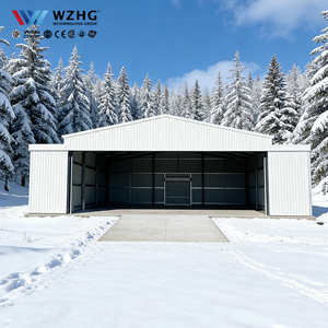 Refugio para Aviones con Estructura de Hierro a Precio Competitivo para Aviación Comercial - Product Image 1