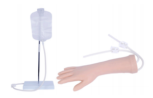 แบบจำลองฝึกเจาะเส้นเลือดสำหรับเด็ก คุณภาพสูง ยี่ห้อชิโนน สำหรับฝึกเจาะเส้นเลือดแขนและศีรษะ ฝึกเจาะเส้นเลือดแดง - Product Image 6