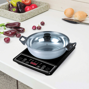 Fonte di energia elettrica a bruciatore singolo ad alta efficienza per uso domestico - Product Image 6