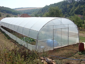 Serre Agricole Monovoûte à Film <span class=keywords><strong>Polycarbonate</strong></span>, Ensemble Complet, <span class=keywords><strong>Prix</strong></span> Direct Usine - Product Image 4