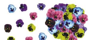 Vendita calda commestibile rosa Sakura a forma di fiore Wafer di carta fiori di ciliegio decorazioni <span class=keywords><strong>torta</strong></span> di <span class=keywords><strong>compleanno</strong></span> per la decorazione di nozze festa - Product Image 5