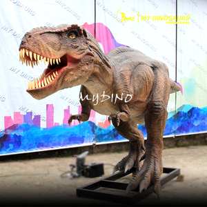 Của <span class=keywords><strong>T</strong></span>ôi Dino J12 Nhỏ <span class=keywords><strong>T</strong></span>-<span class=keywords><strong>REX</strong></span> Khủng Long Triển Lãm Khủng Long Cử Động Được - Product Image 3