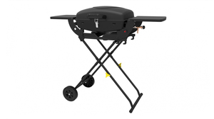 Barbecue portable d'extérieur, barbecue de camping, machine en acier inoxydable naturel, brûleur à gaz Bbg - Product Image 4
