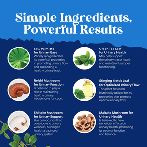 Nuevo Suplemento de Saw Palmetto para la Salud Urinaria y de la Próstata, Suplemento Herbal en Cápsulas de Saw Palmetto - Product Image 4