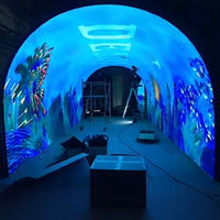 Module d'écran LED flexible P1.25 avec technologie GOB et installation magnétique pour tunnel incurvé intérieur