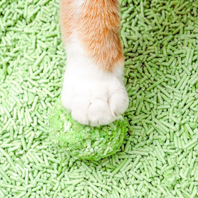 Highly Absorbent CHONGCI Tofu Cat Litter 1kg/5kg Strong Clumping Dust-Free Made with Natural Plant Starch