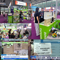 Boîtes pliantes personnalisées en papier de canne à sucre recyclé de luxe, biodégradables, avec pelliculage mat, doublure en éponge, gaufrage et estampage à chaud doré