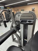 Machine professionnelle d'extension des triceps à charge par broches, équipement de fitness commercial pour bras, directement de l'usine