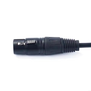Adattatore cavo bilanciato da C a 3pin XLRs, Plateds oro USB di tipo C a XLRs maschio femmina cavo audio per telefoni cellulari - Product Image 3
